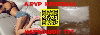 мет Кингисепп