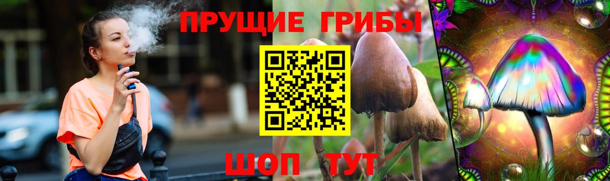 Псилоцибиновые грибы мицелий  Вход с VPN  Красноярск 
