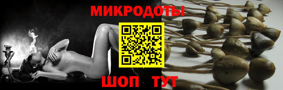Галлюциногенные грибы ЛСД Красноярск